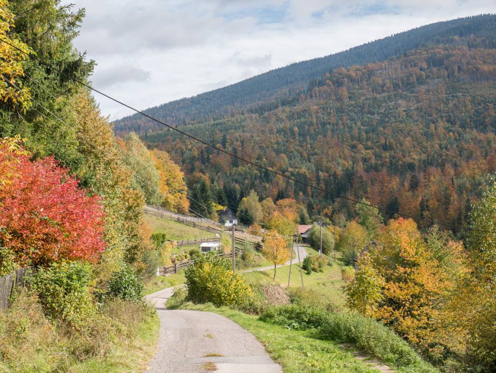 Czarny szlak rowerowy w Węgierskiej Górce
