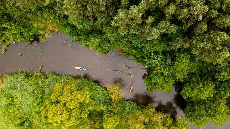 Kajakarstwo w Śląskim